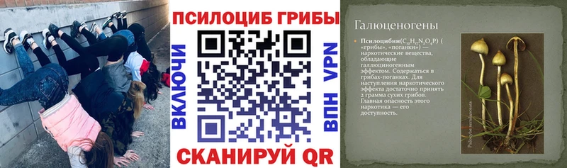 Галлюциногенные грибы GOLDEN TEACHER Лысьва