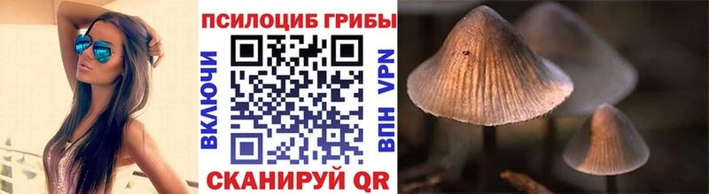 Галлюциногенные грибы Cubensis  Лысьва 